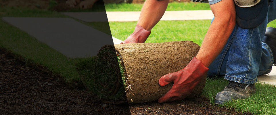 Pewee Valley Landscapers